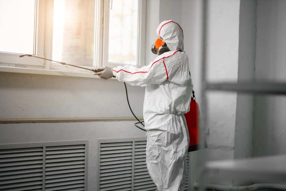 Professional mold remediation services in Fremont, NH